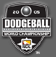 National Dodgeball League